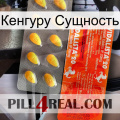 Кенгуру Сущность new01